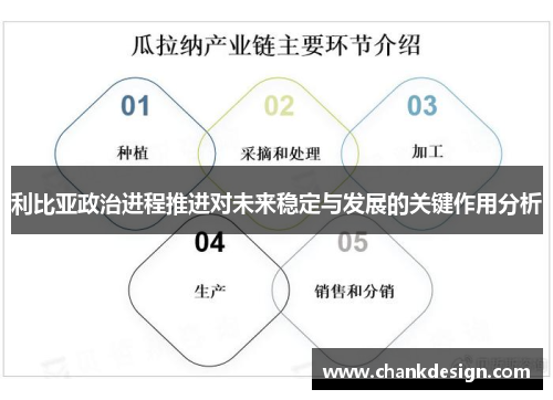 利比亚政治进程推进对未来稳定与发展的关键作用分析